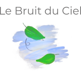 Le Bruit du Ciel